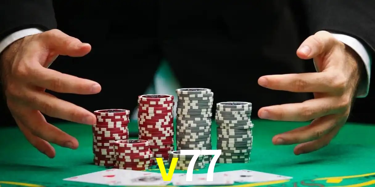 cassino v77
